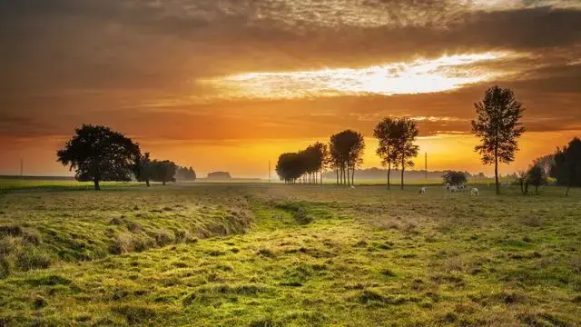 Buenos Aires Travel Guide: Grand Boulevards, Tango and the Best Steak of Your Life