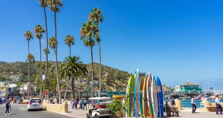 California's Top Destinations Unveiled