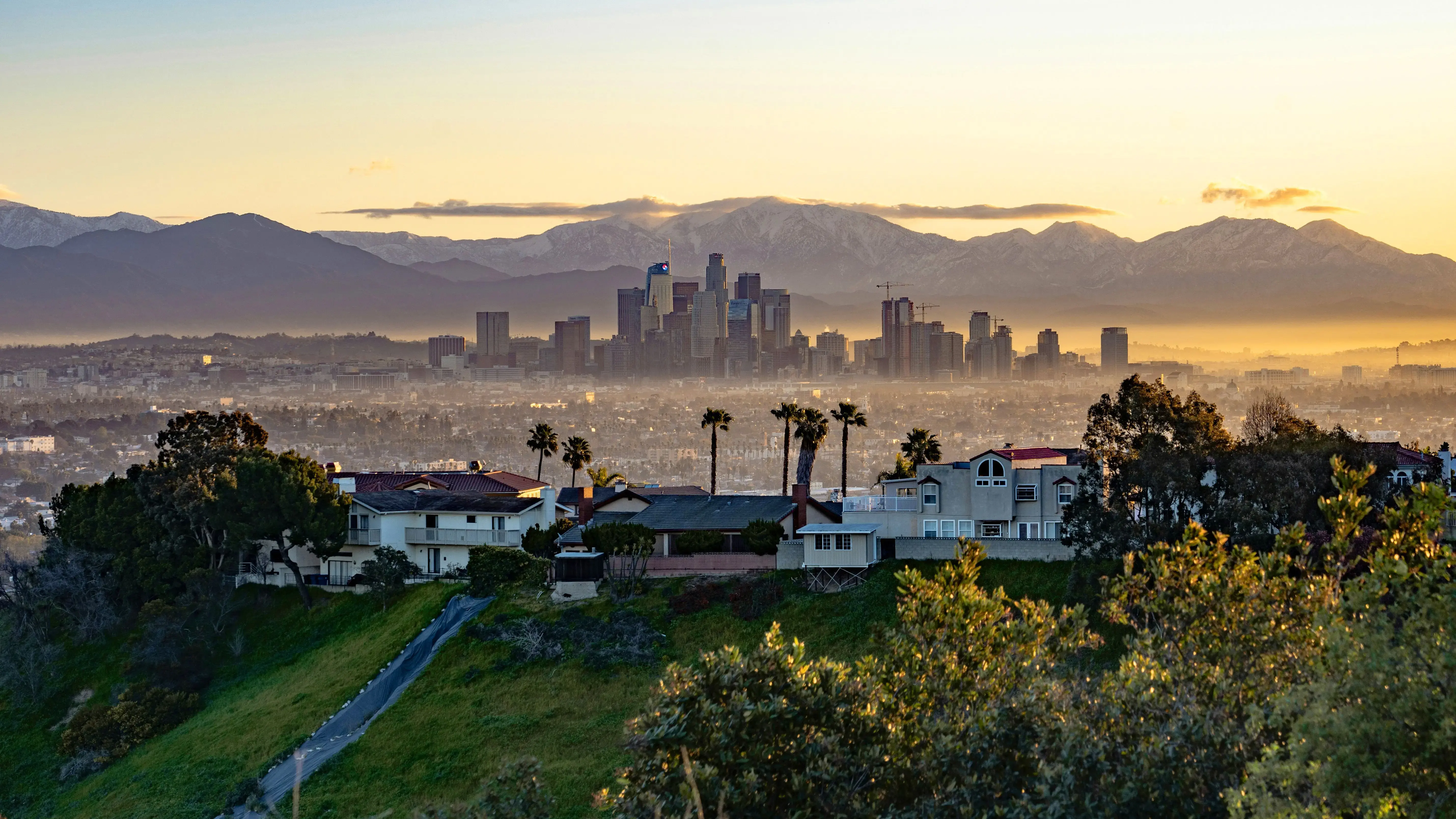 Discovering Los Angeles: A Local's Guide to an