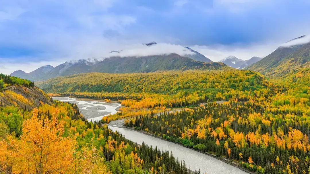 Explore Alaska: Top Day Trips from Anchorage