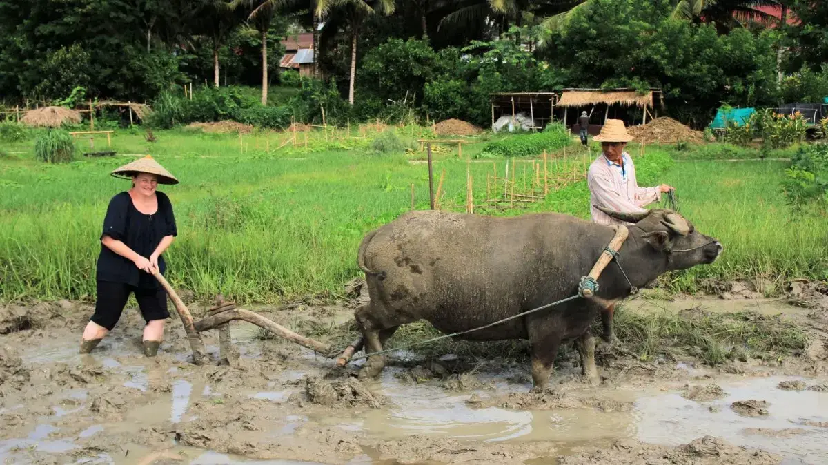 Exploring the Rich Culture and Attractions of Luang Prabang in 2026