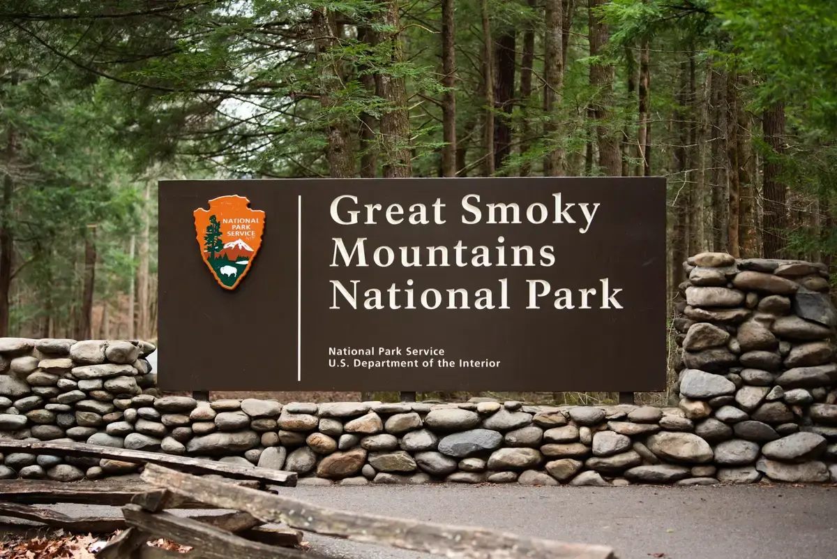 Great Smoky Mountains Firefly Display Faces Uncertain Future