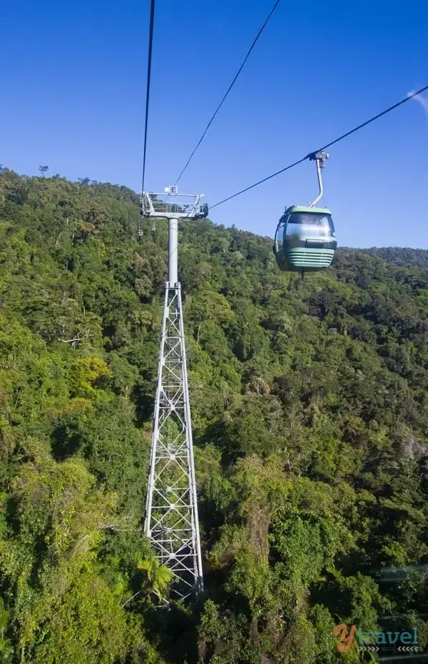 Journey Through Queensland's Rainforest Canopy