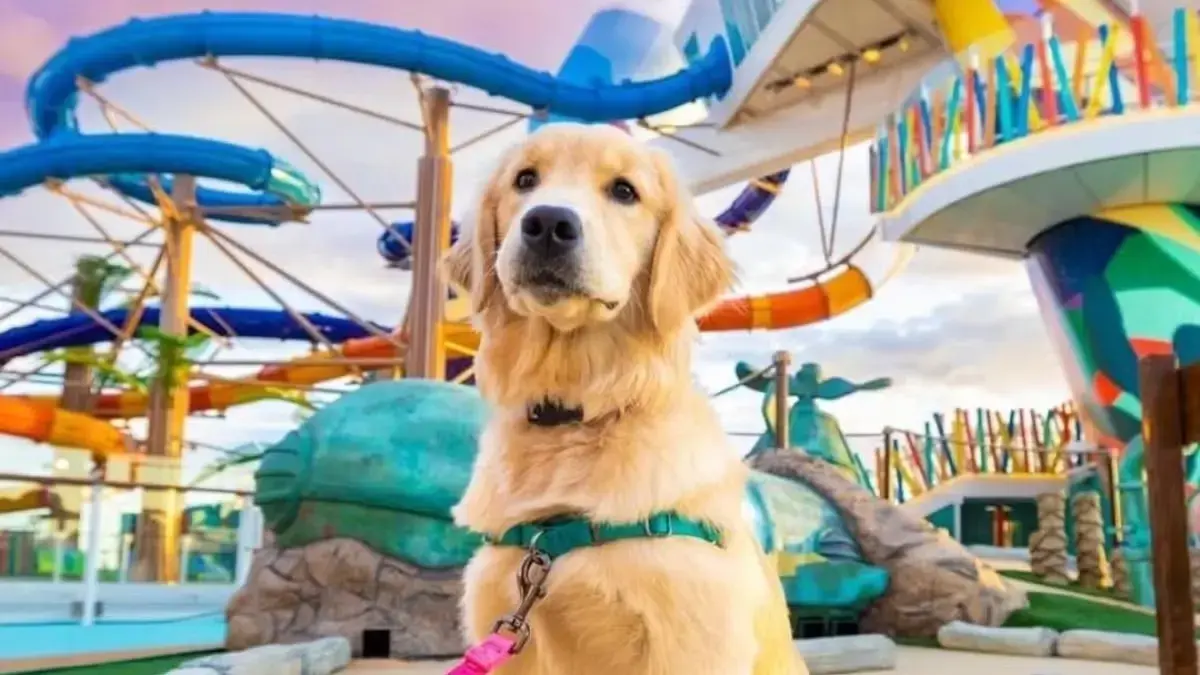 Royal Caribbean's Furry Crew