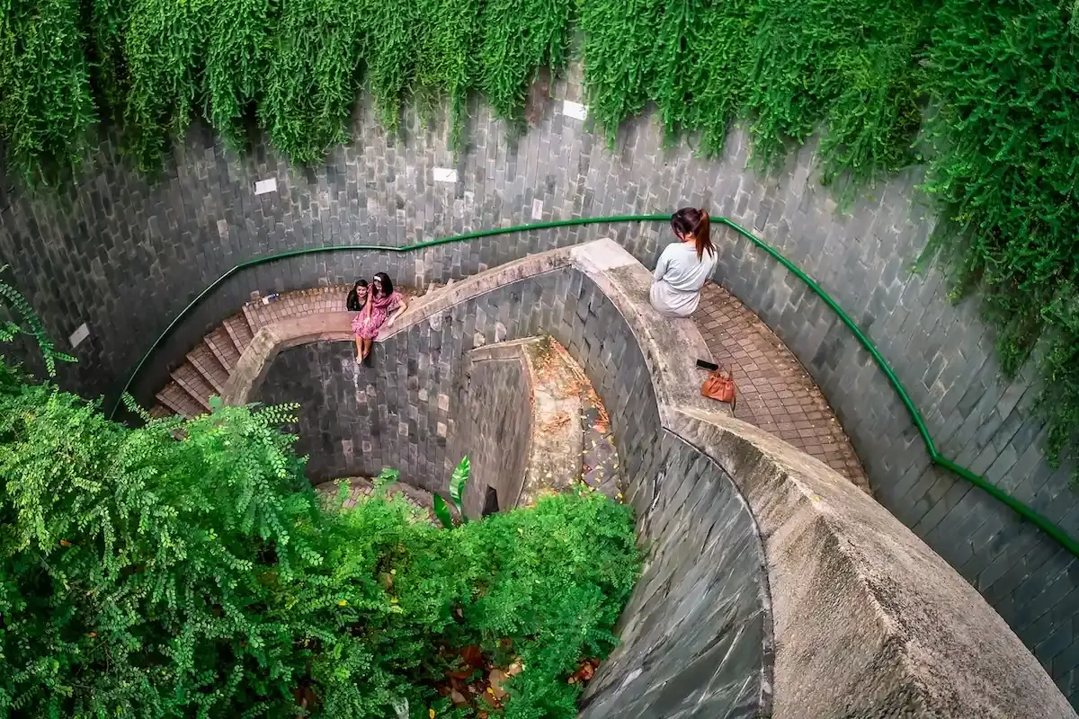 Spiral Staircase Beneath Rain‑Tree Canopy Becomes City’s Dreamlike Portal