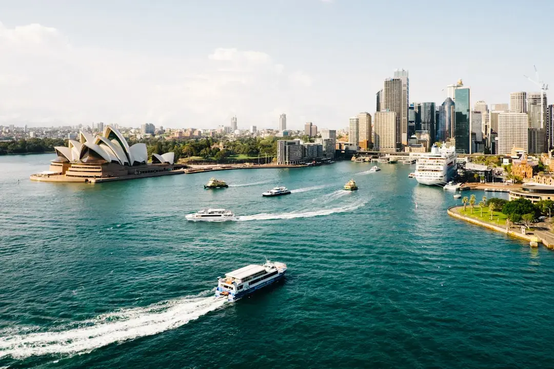 Sydney's Underwater Forests Are Being Reborn