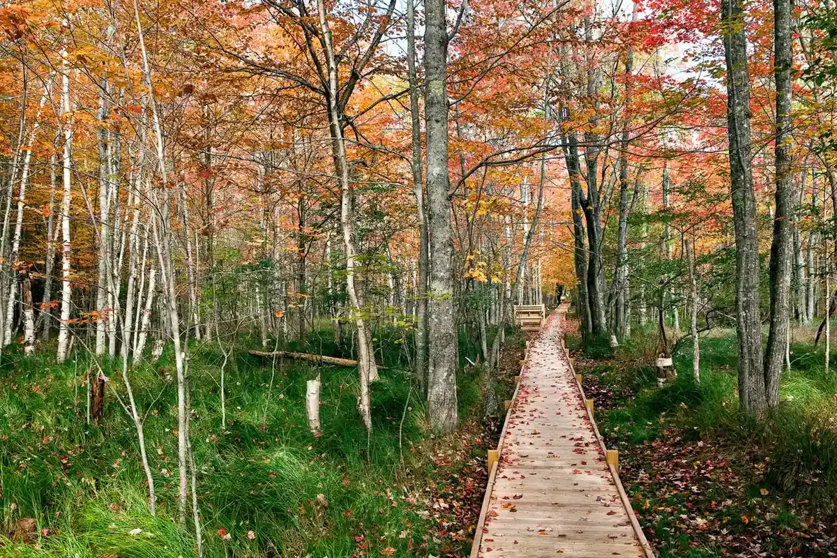The 20 Best US National Parks to Visit at Least Once