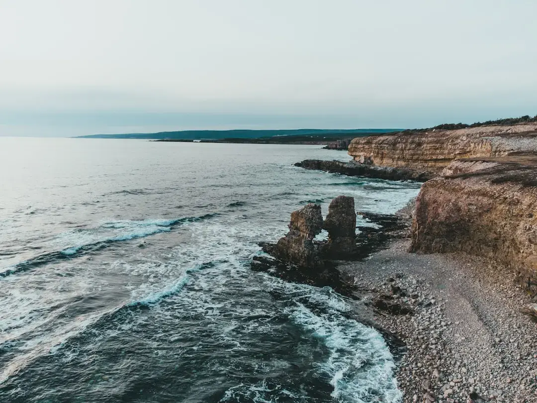The Ultimate Guide to Exploring La Jolla’s Coastal Charm