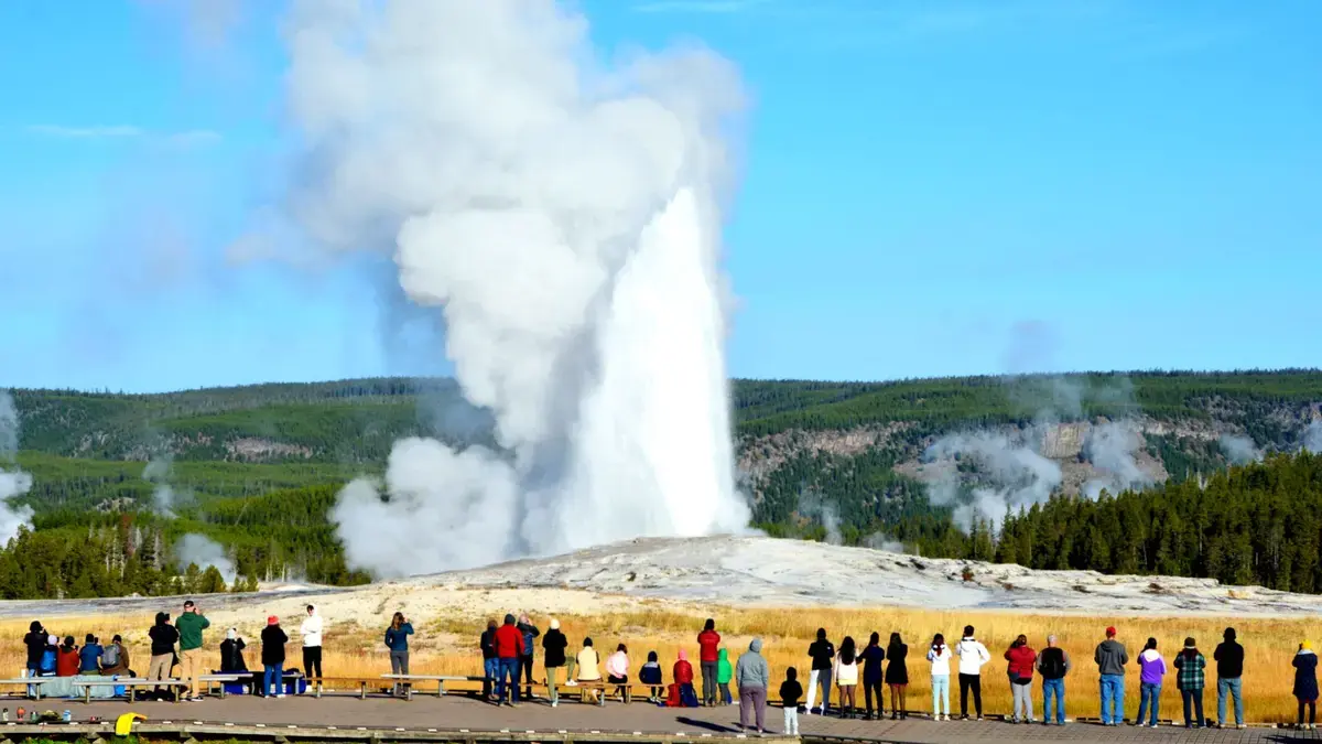 Tourist Removed for Reckless Stunt at Old Faithful