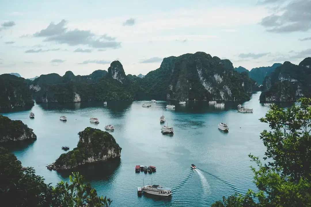 Vietnam's Ecotourism Boom: A Look at Sustainable Travel