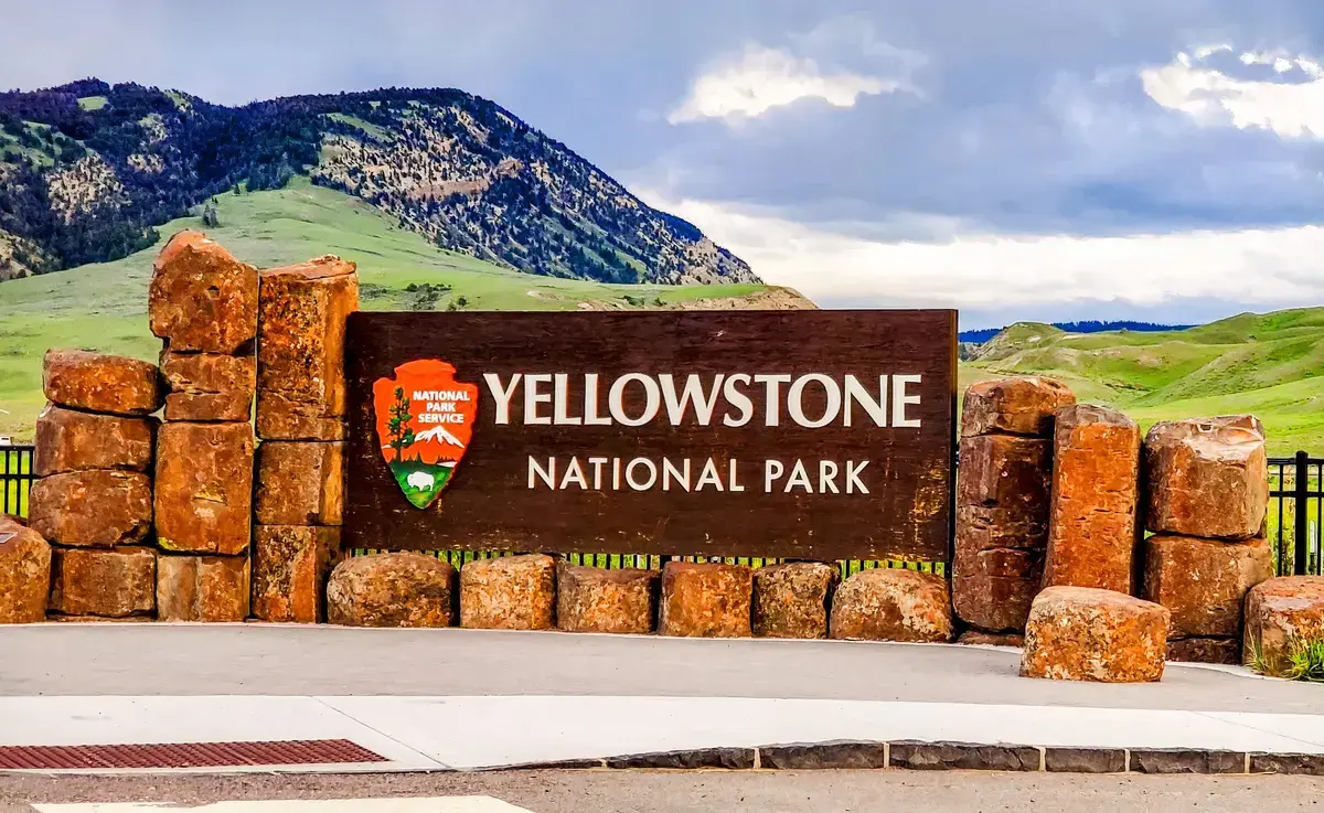 Yellowstone Bison Damages Tourist Car in Aggressive Encounter