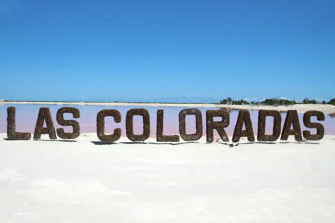 53 Cool Things to Do in Las Vegas: A Local's Guide