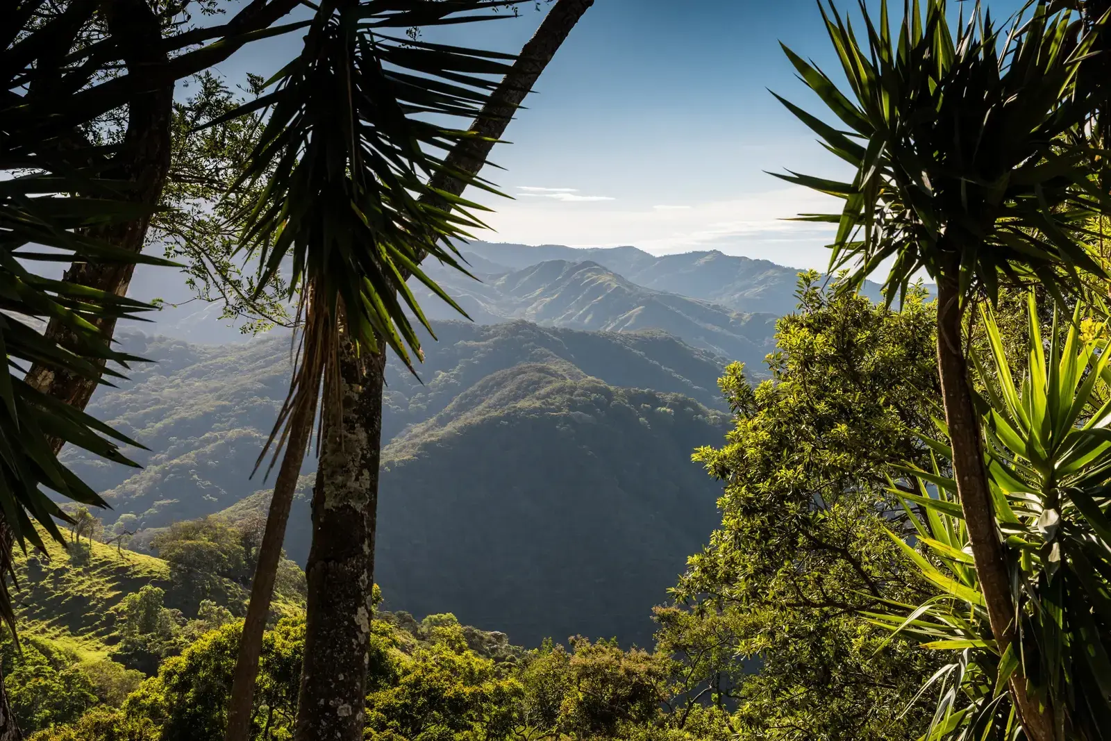 Best Surfing Spots, Sloth Encounters, and Tico Flavors in Costa Rica