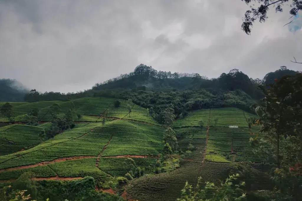 Sri Lanka Sets Sights on 3 Million Visitors, Emphasizes Spending Over Numbers