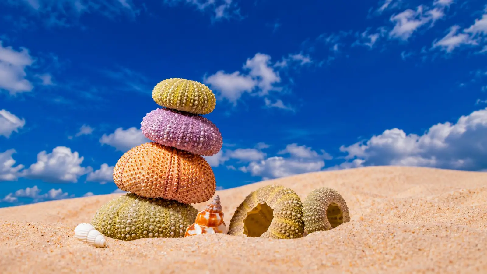 7 Souvenirs That Could Cost You More Than Your Flight