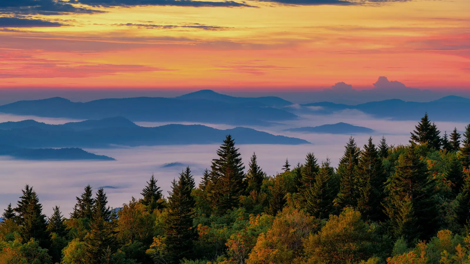 Rules of the Appalachians: What to Avoid When Visiting These Ancient Mountains