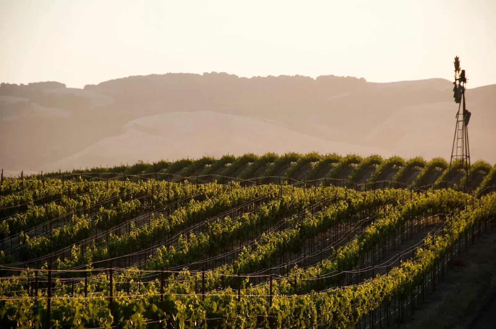 Delta Offers Free Wine Check for SkyMiles Members