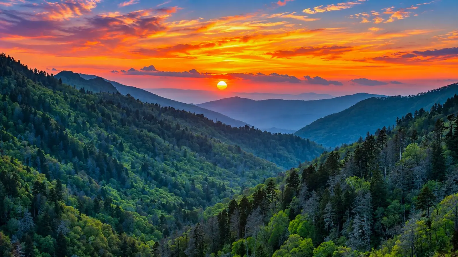 Great Smoky Mountains National Park Draws Record Crowds