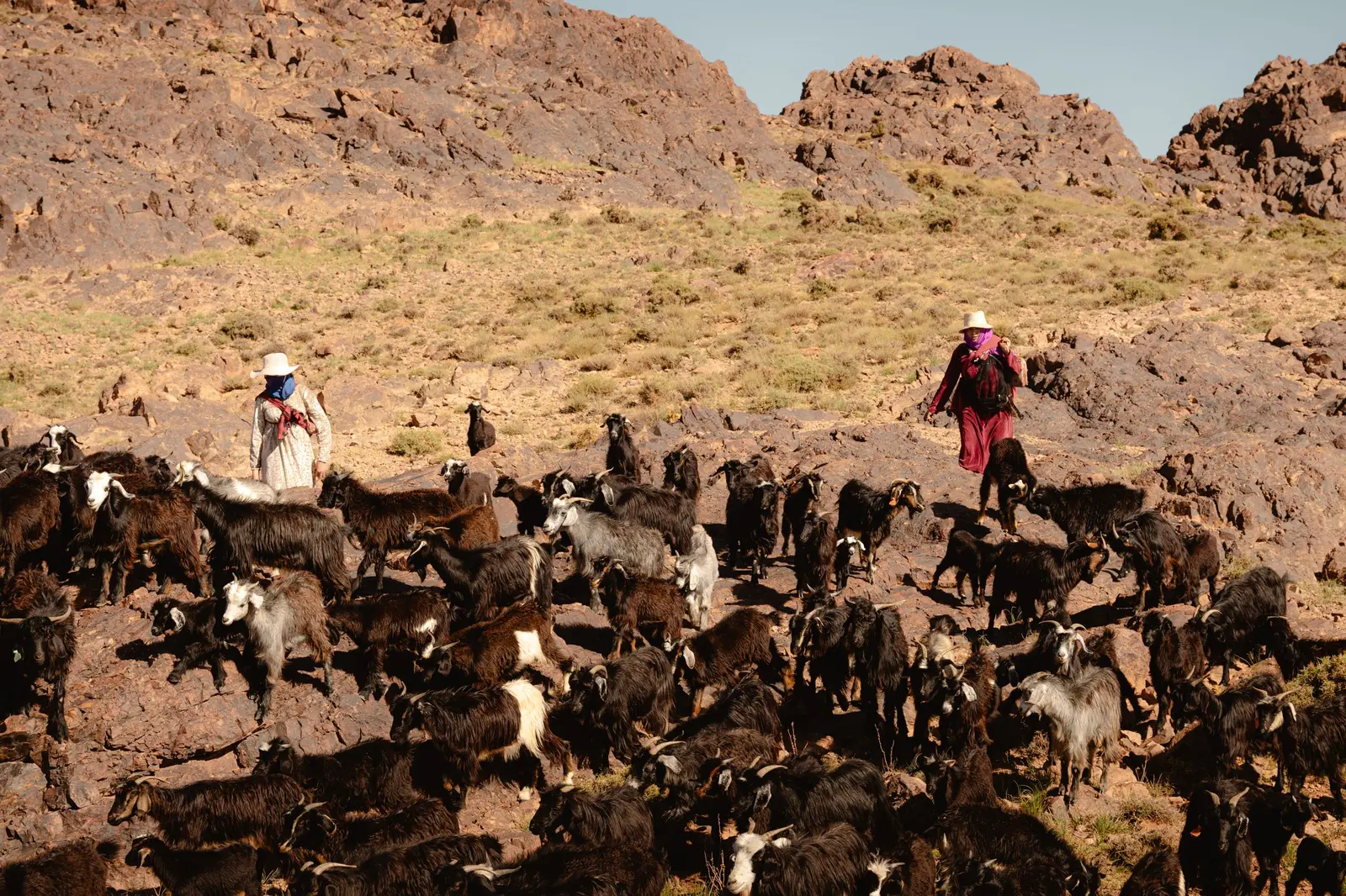 In the Atlas Mountains of Morocco, alongside one of Africa's oldest migrations