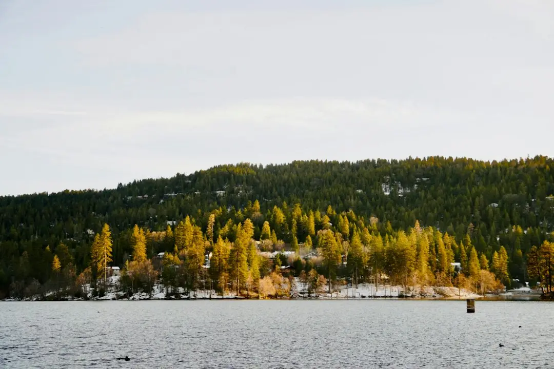 Lake Arrowhead’s Top Attractions: A Guide to the Best Experiences