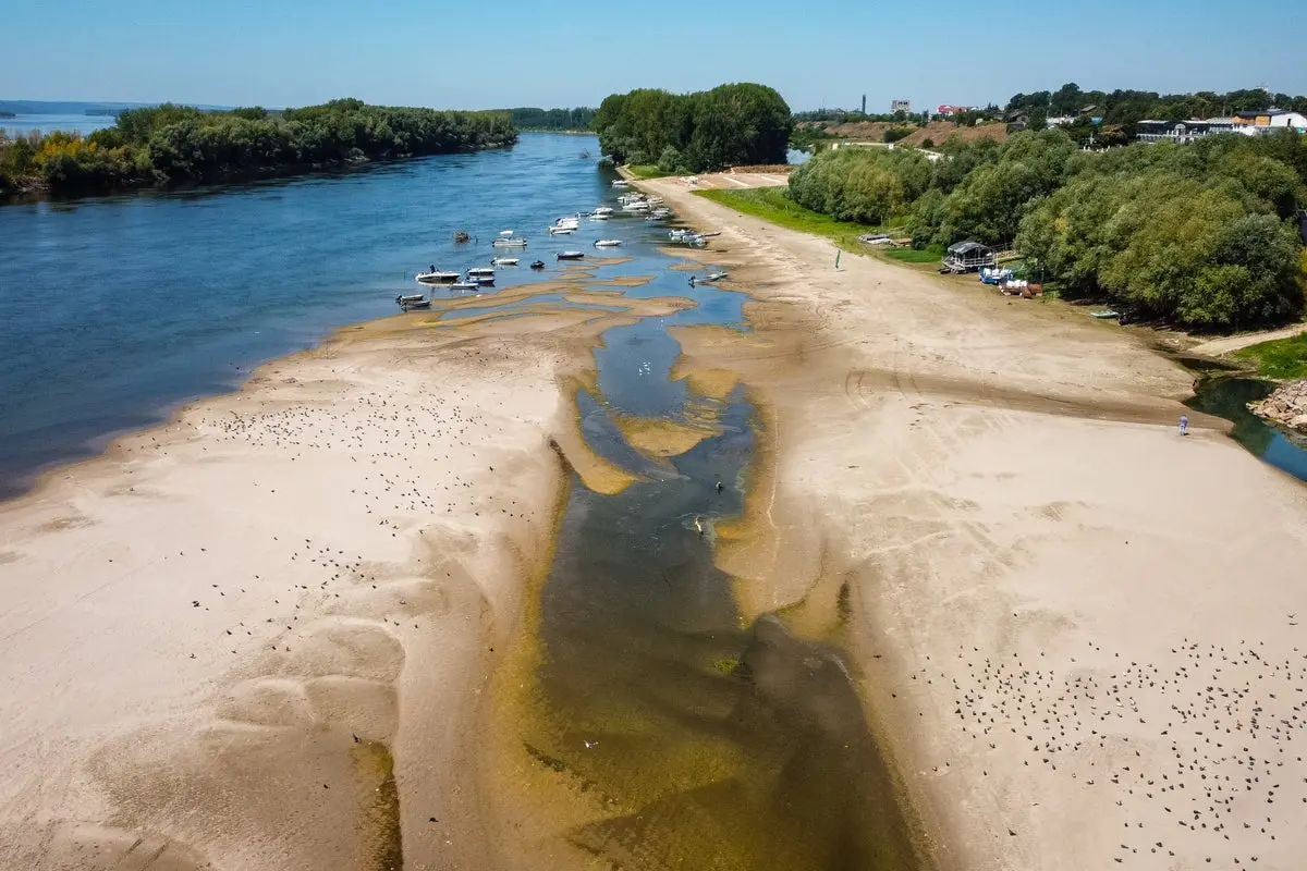 Ship Swaps and Missed Stops: River Cruise Lines Battle Low Water Levels