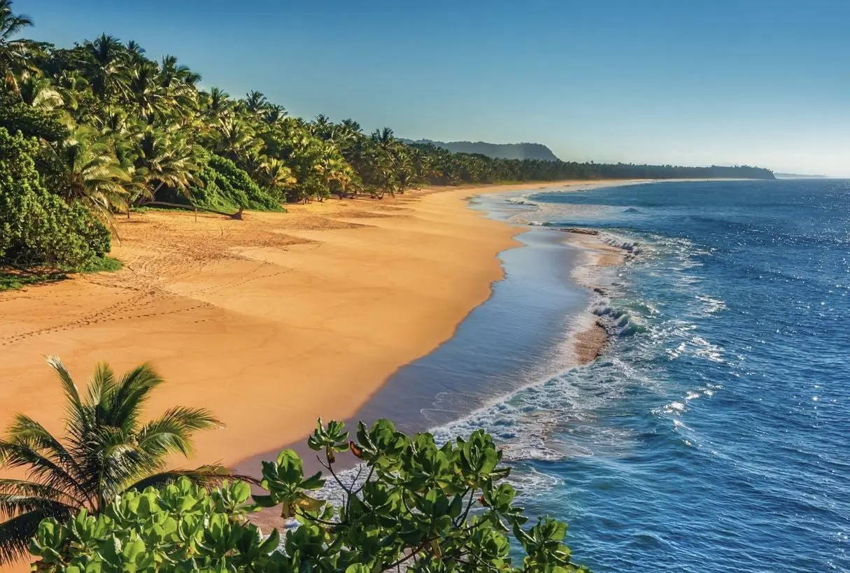 This Safe Undiscovered Beach Town Offers Warm Waters and Giant Turtles