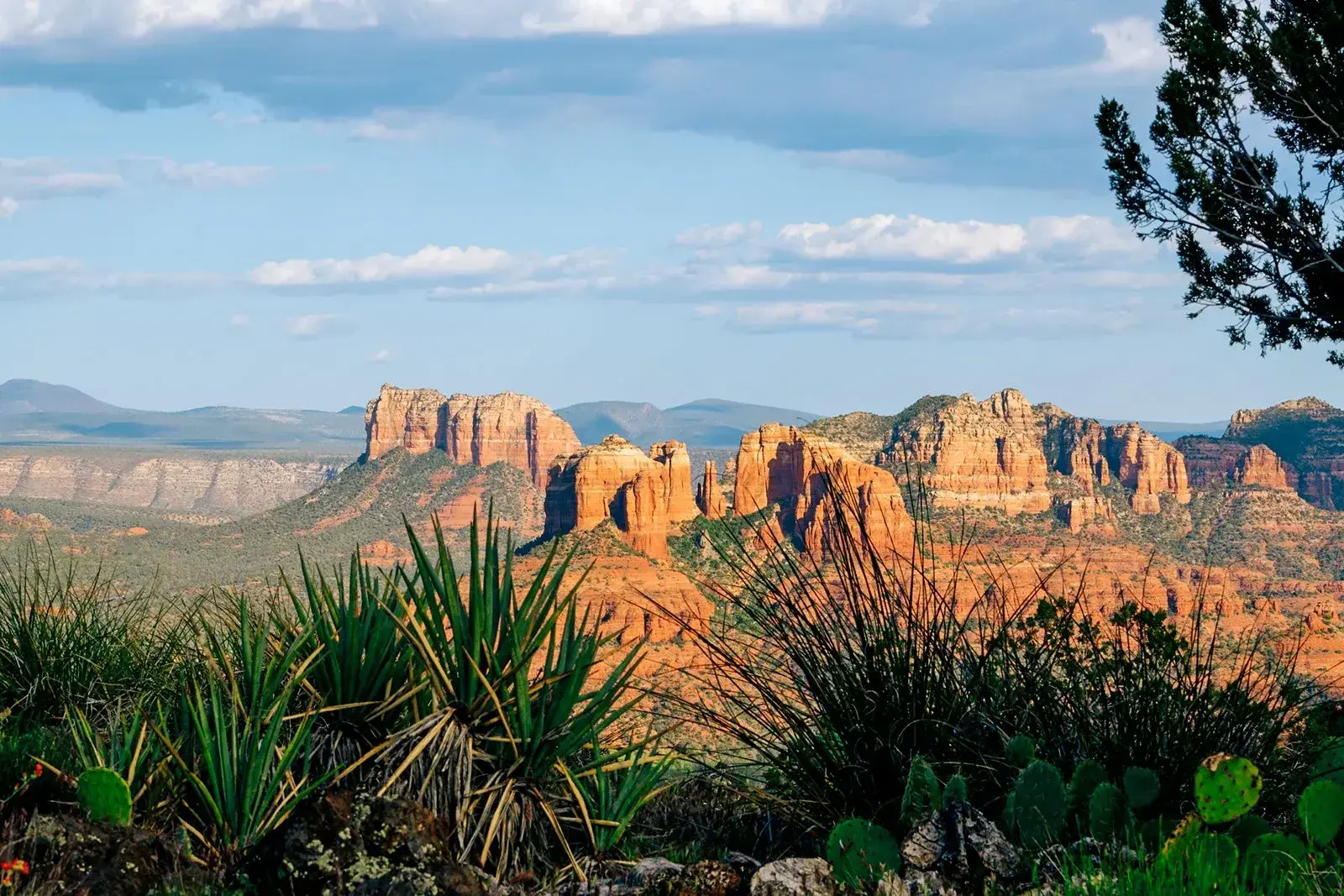 United Airlines launches Flagstaff service next summer